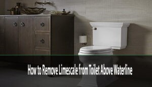 How to Remove Limescale from Toilet Above Waterline
