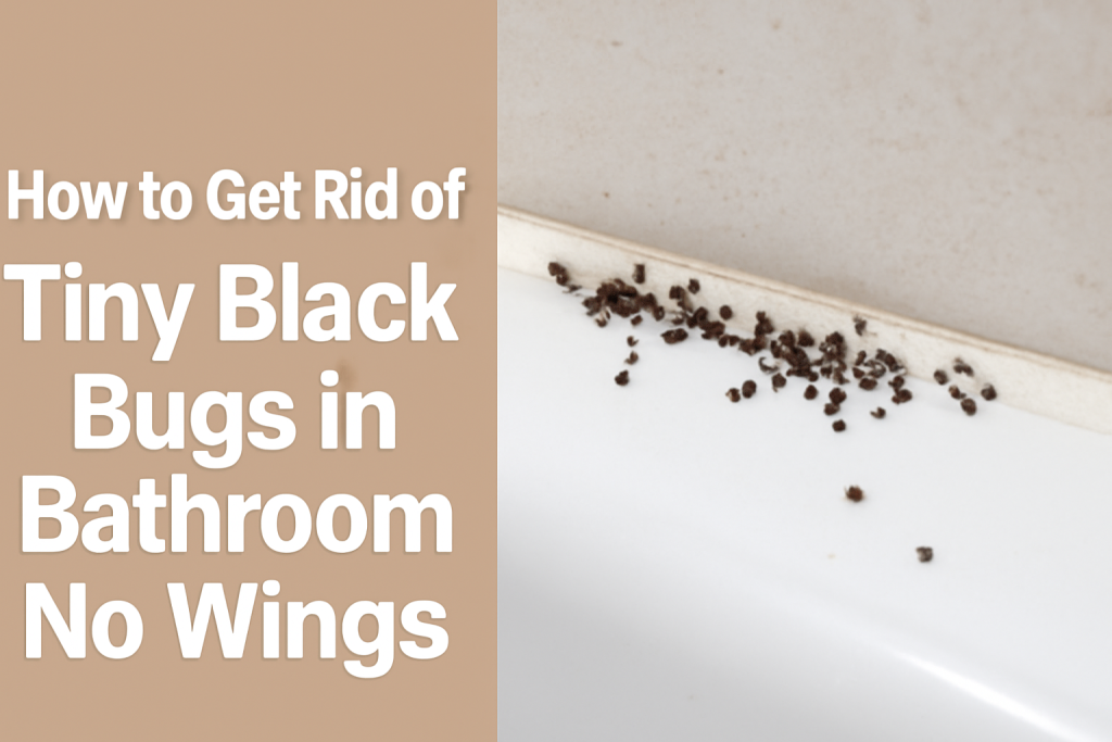 Tiny Black Bugs in Bathroom No Wings