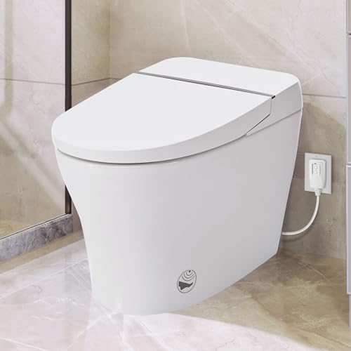 Best Bidet Toilet Combo