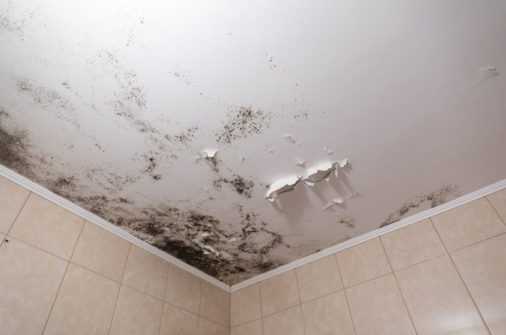 best paint for bathroom ceilings to prevent mold