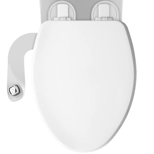 Best Toilet That Cleans Your Butt