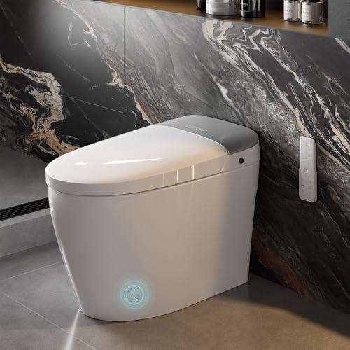 Hawkrown Smart Toilet Review