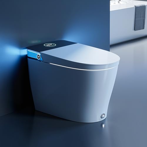 Horow Smart Toilet Reviews