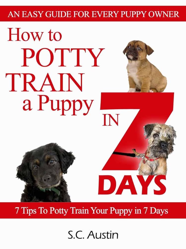 How Do You Toilet Train a Puppy in 7 Days