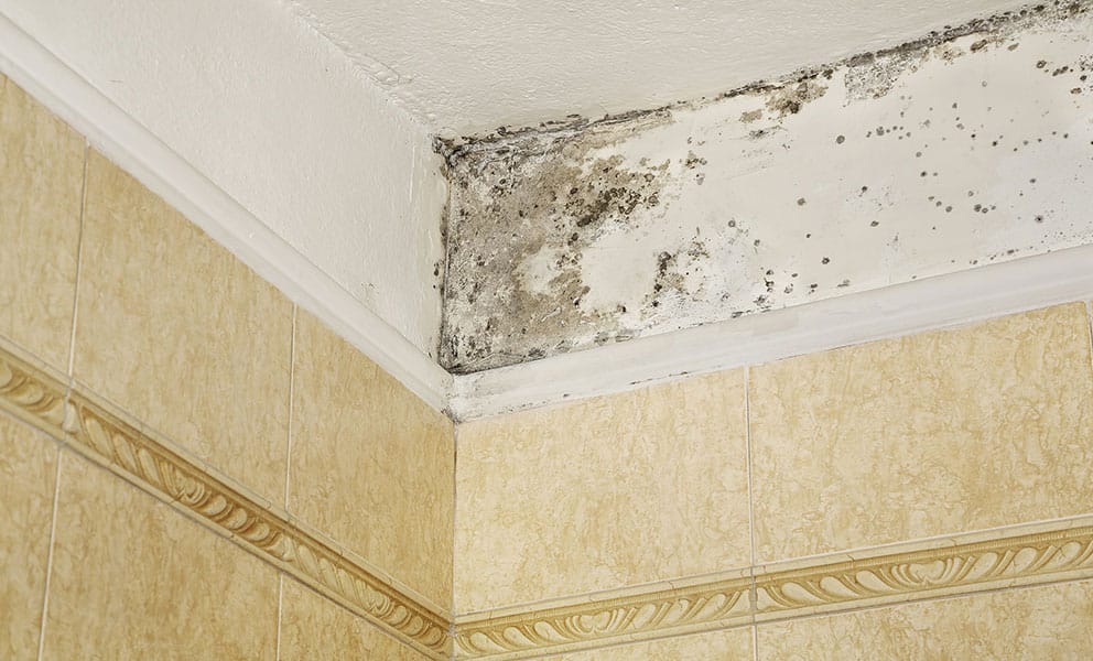how to stop condensation on bathroom walls