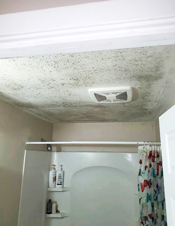 How to Stop Mold Growing on Bathroom Ceiling