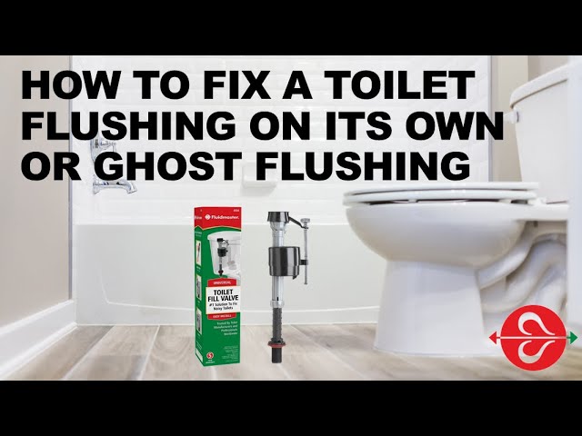 Toilet Sounds Like Its Flushing on Its Own