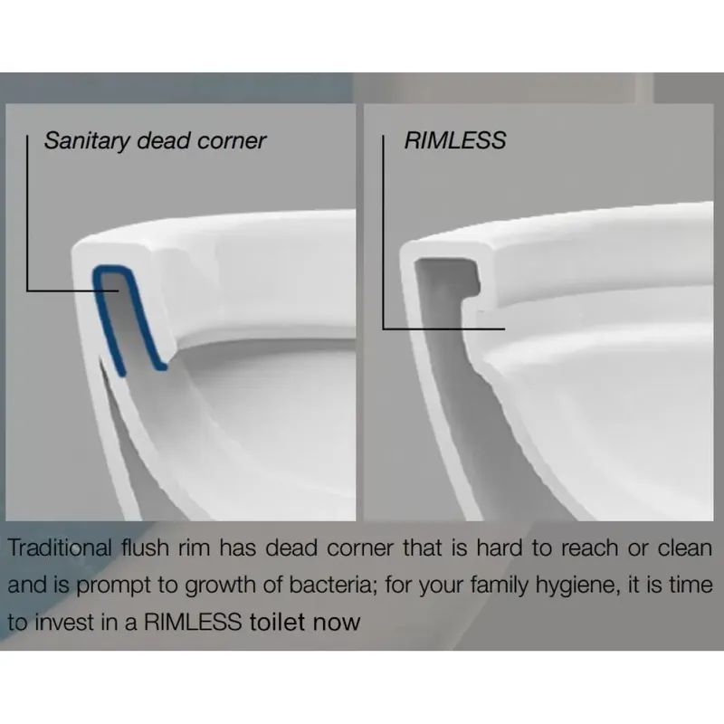 What are the Benefits of a Rimless Toilet