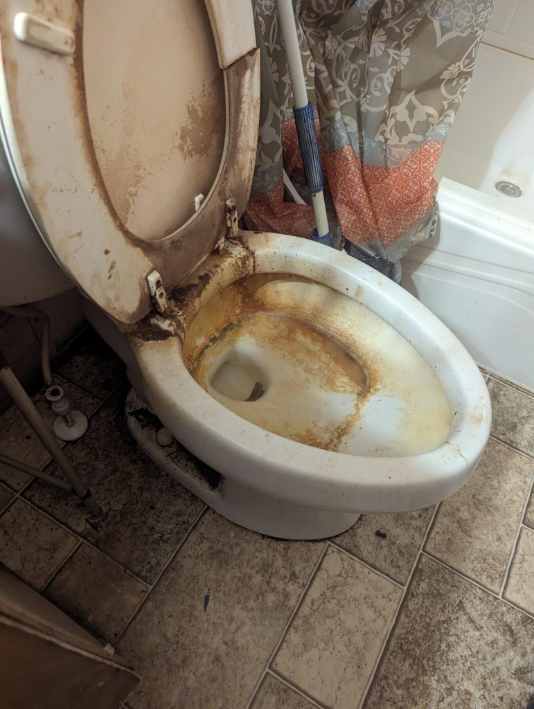 What Happens When Toilet is Not Kept Clean