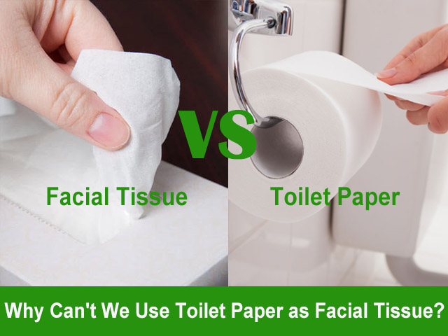 What is the Difference between Toilet Paper And Tissue Paper