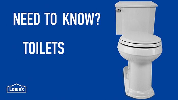 What to Look for When Buying Toilet Bowl