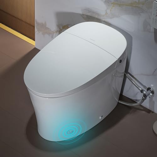 Woodbridge Ebt700 Smart Bidet Toilet Reviews
