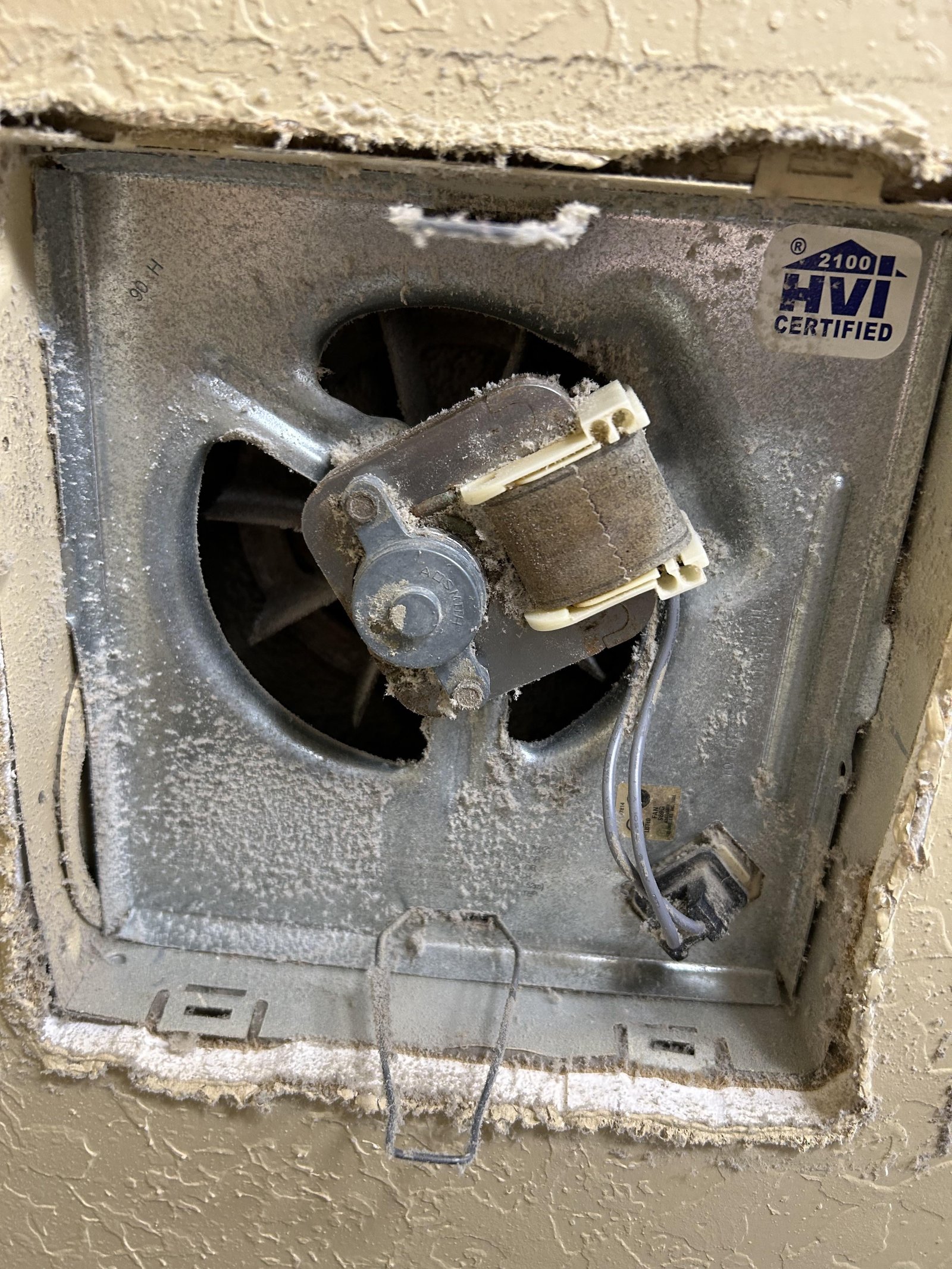 Homeowner inspecting the bathroom fan during a maintenance check to answer common ventilation questions.