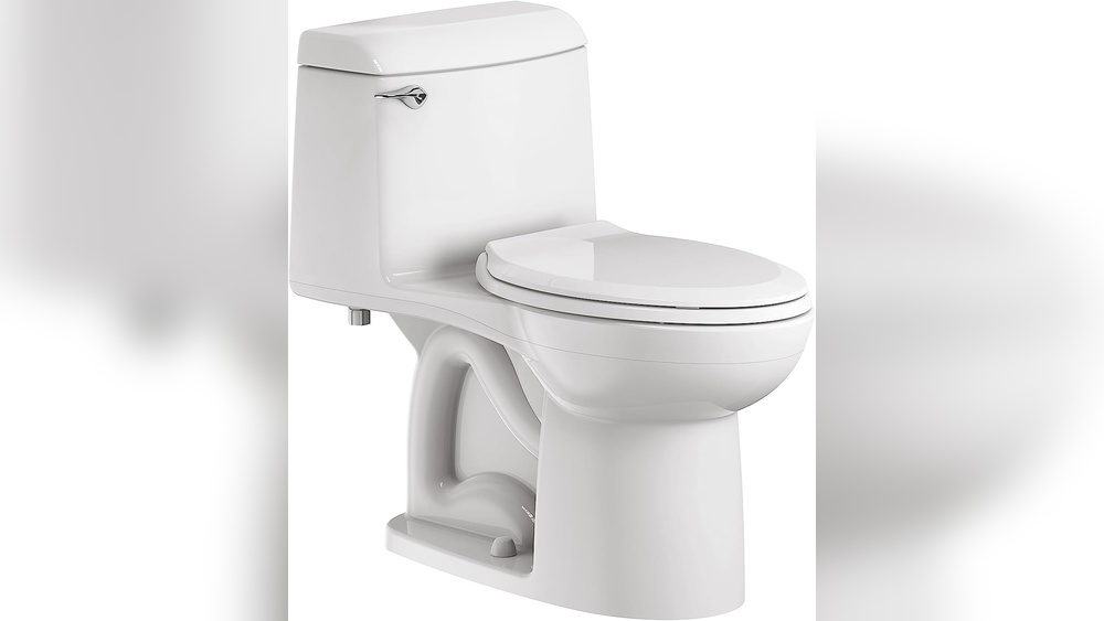 Best Toilet for Flushing Large Waste