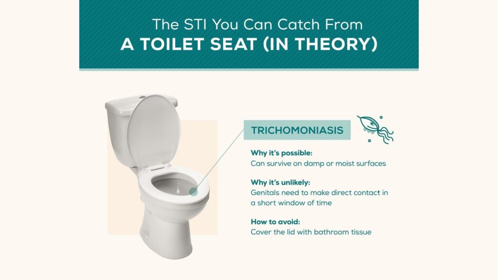 A clean modern bathroom space representing the investigation into potential toilet infection transmission.