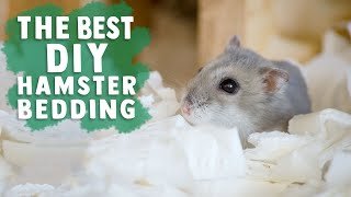 A clean hamster cage setup featuring safe paper bedding and wooden play equipment.