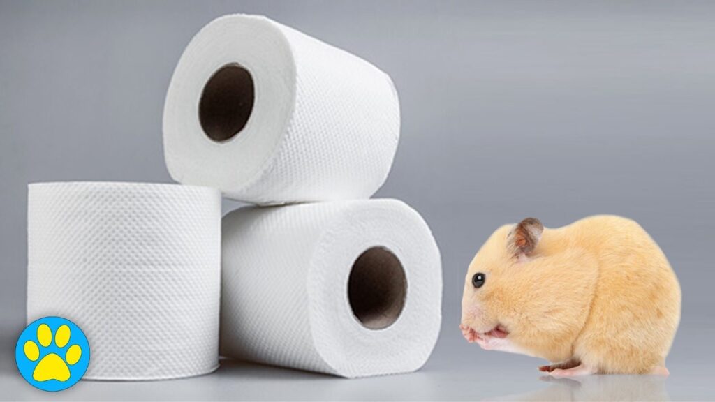 A cute hamster resting in a cozy nest made of safe toilet paper bedding.