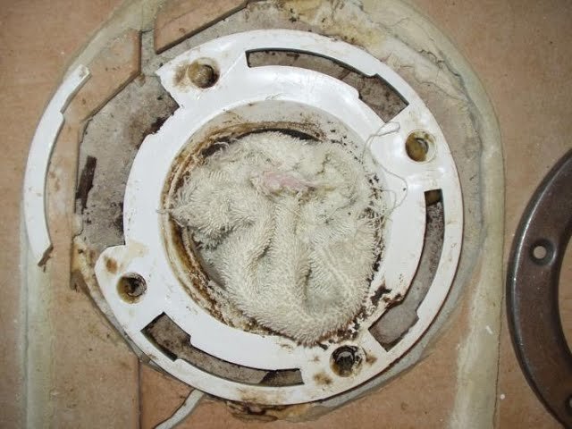 A close-up view of a bathroom toilet base showing a potential broken flange.