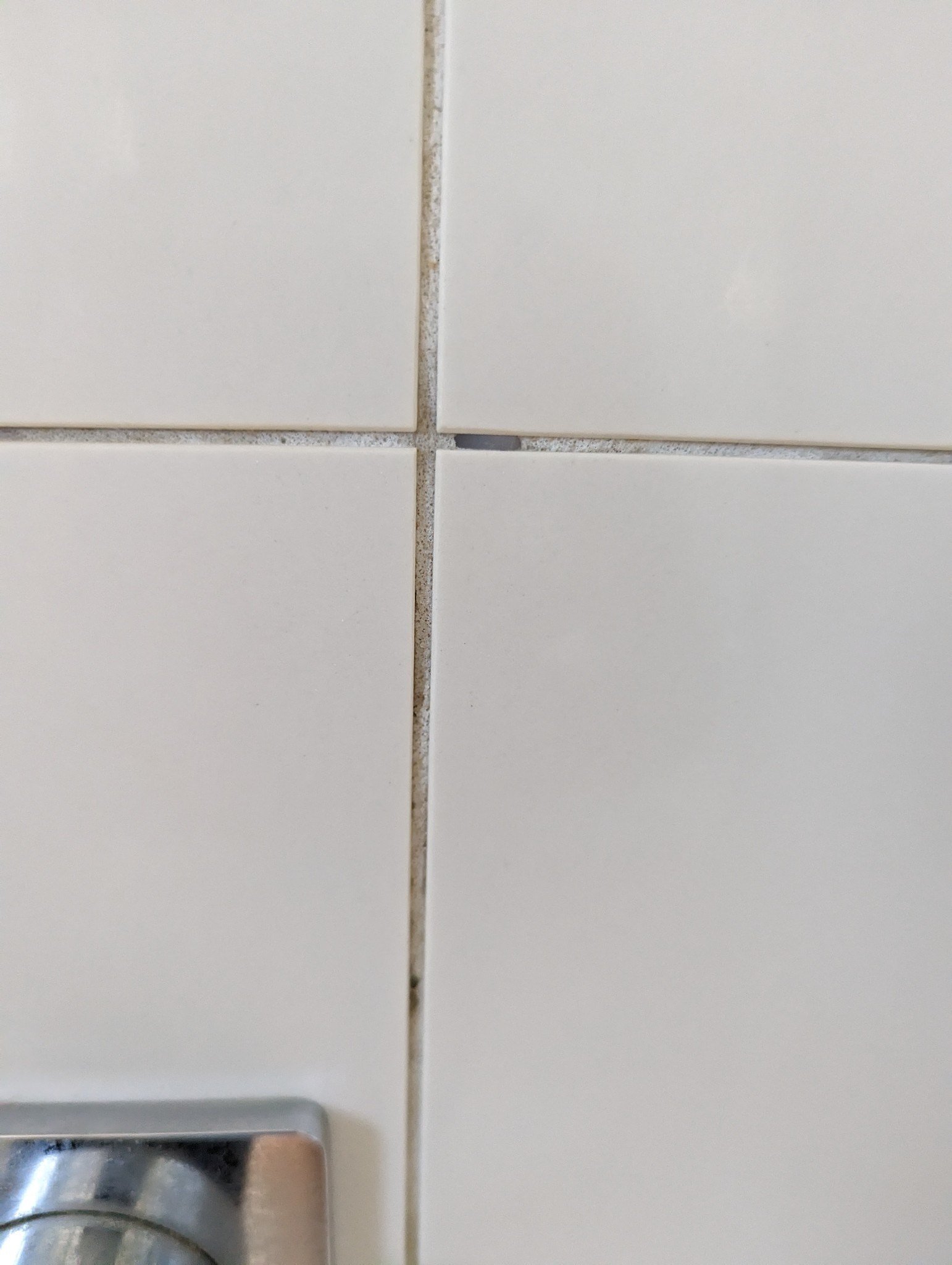 Professional tools for shower regrouting arranged neatly on a bathroom vanity.