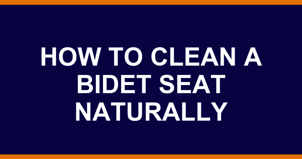how to clean a bidet seat naturally