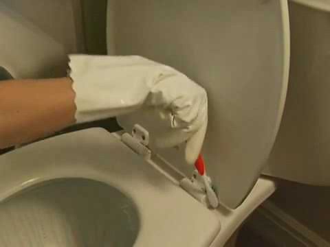 A polished and clean toilet seat hinge area in a modern bathroom setting.