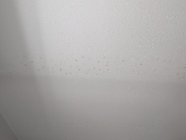 Essential cleaning supplies including vinegar, soap, and microfiber cloths for removing bathroom ceiling stains.