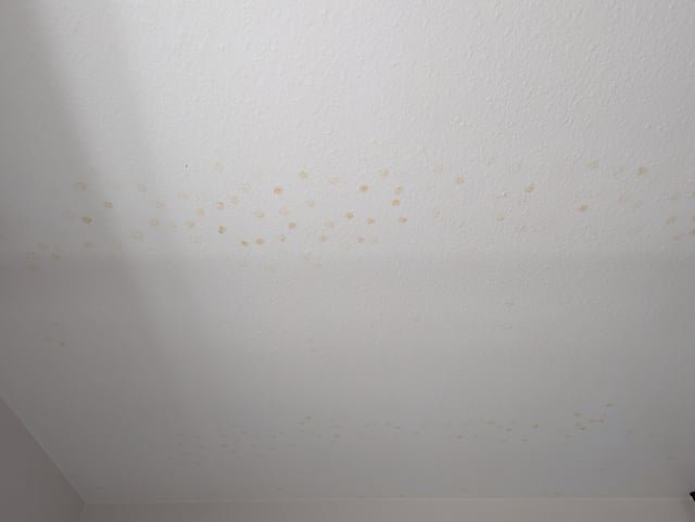 A person inspects a clean bathroom ceiling with a light to ensure no spots remain.