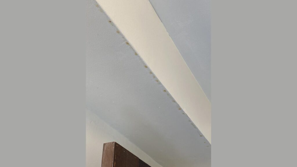 A clean, bright bathroom ceiling showing no signs of yellow spots or water damage.