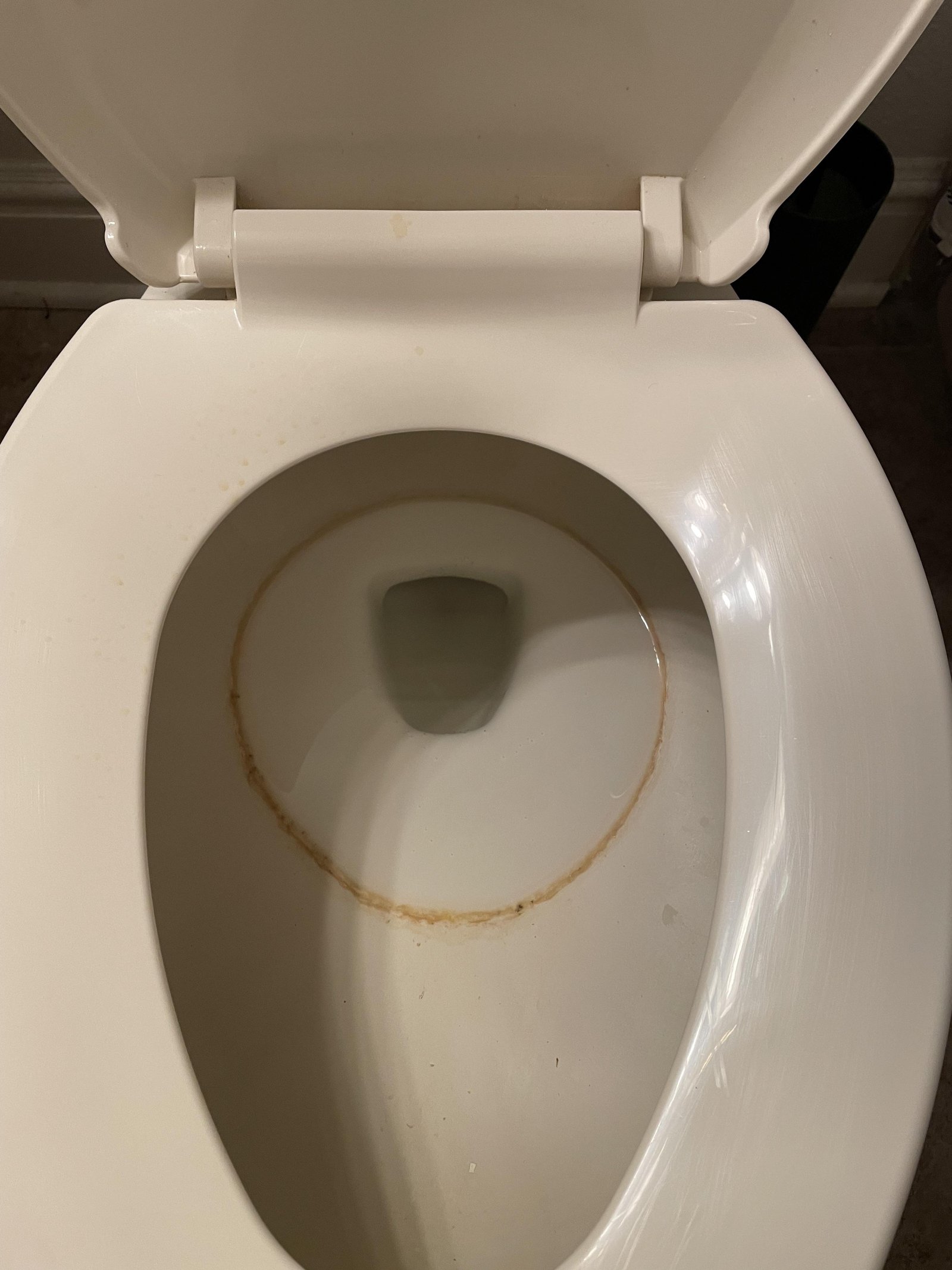 Applying a gel-based cleaning solution under the rim of a toilet bowl.