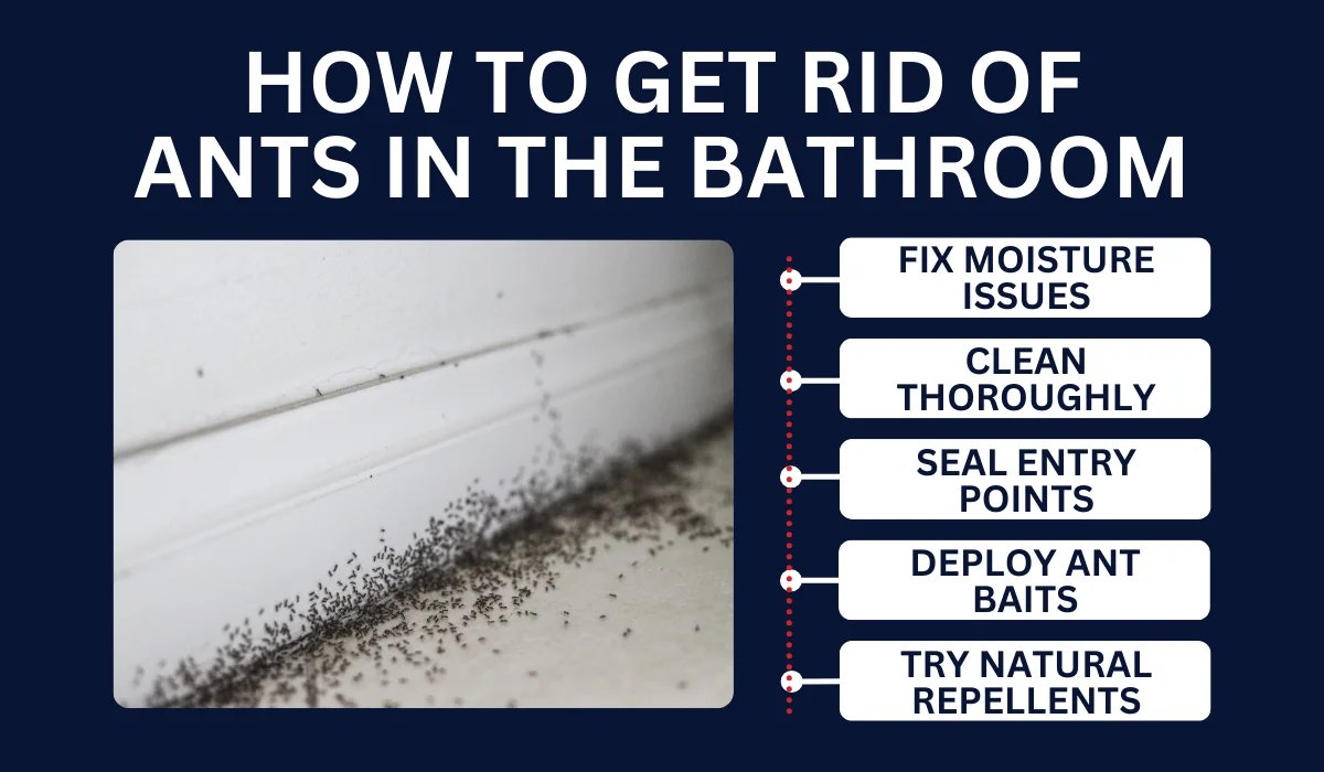 Small ants gather near a puddle of water on a bathroom tile floor.