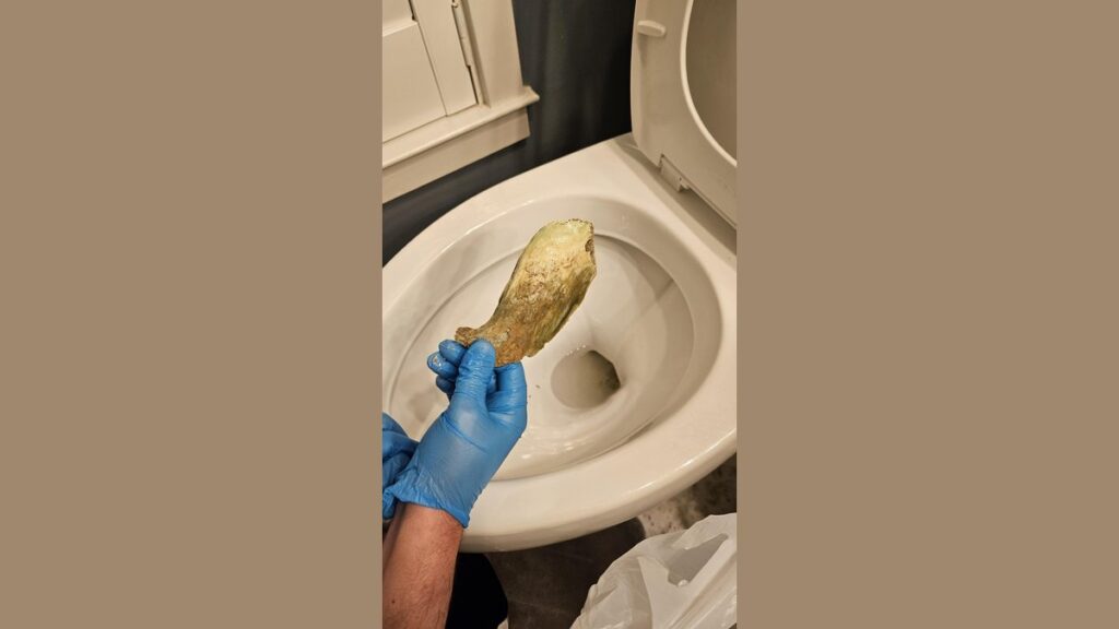 A sparkling clean white toilet bowl interior representing effective urine scale removal.