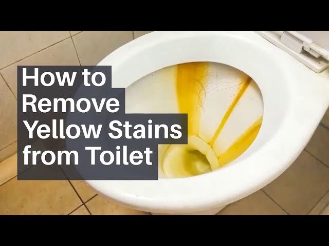 A sparkling clean white toilet in a bright and modern bathroom setting.