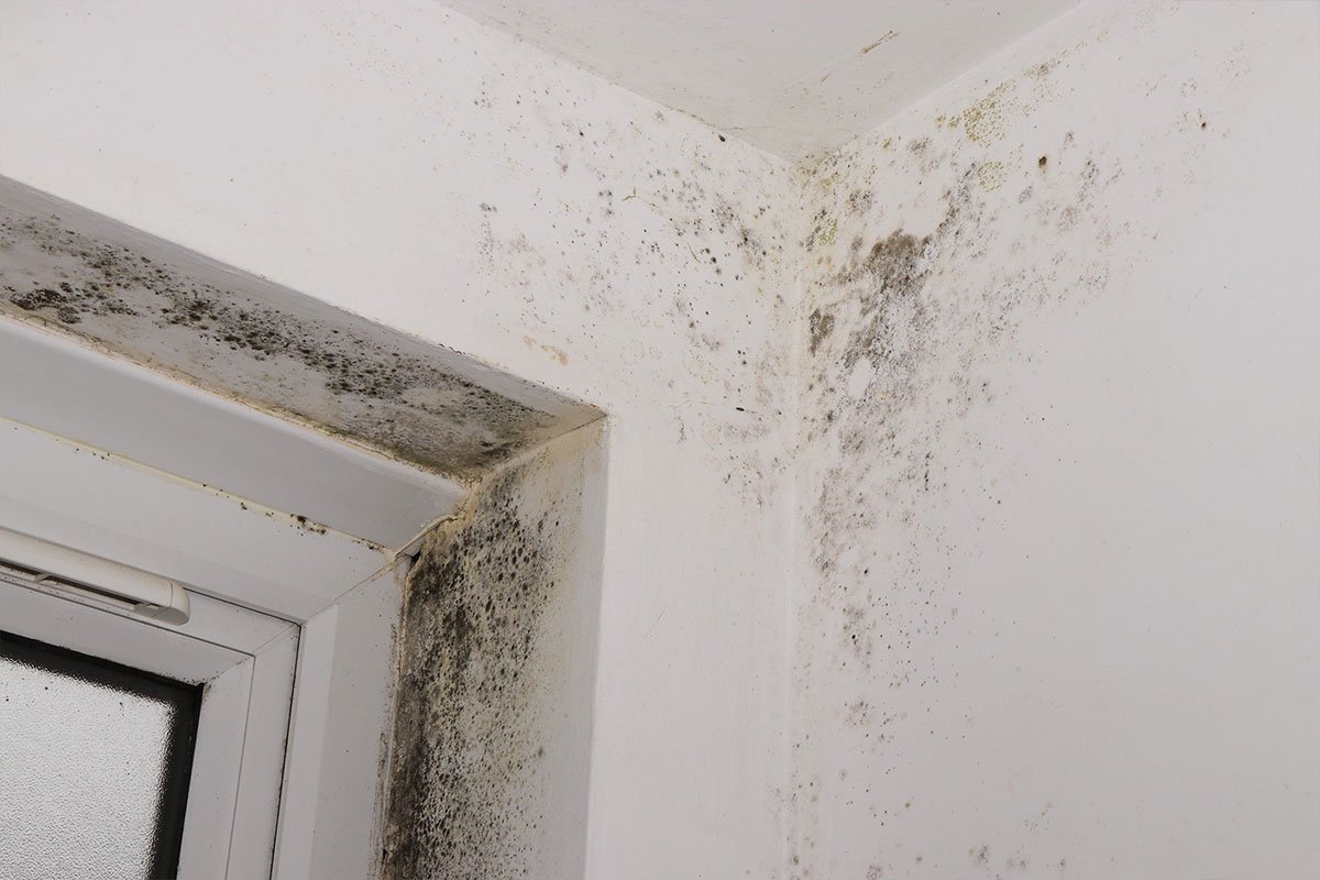 Proper ventilation techniques to prevent bathroom condensation damage on interior walls.