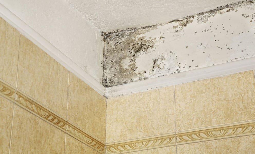 Water droplets on a bathroom wall showing how to stop condensation effectively.