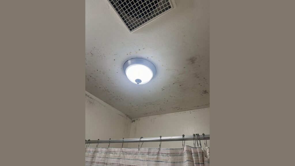 A clean, dry bathroom ceiling with a functioning ventilation fan to prevent mold.