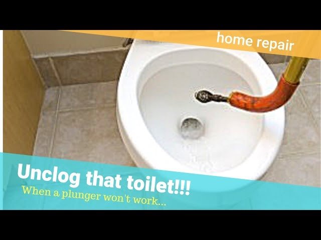 The internal drain opening of a white porcelain toilet bowl.