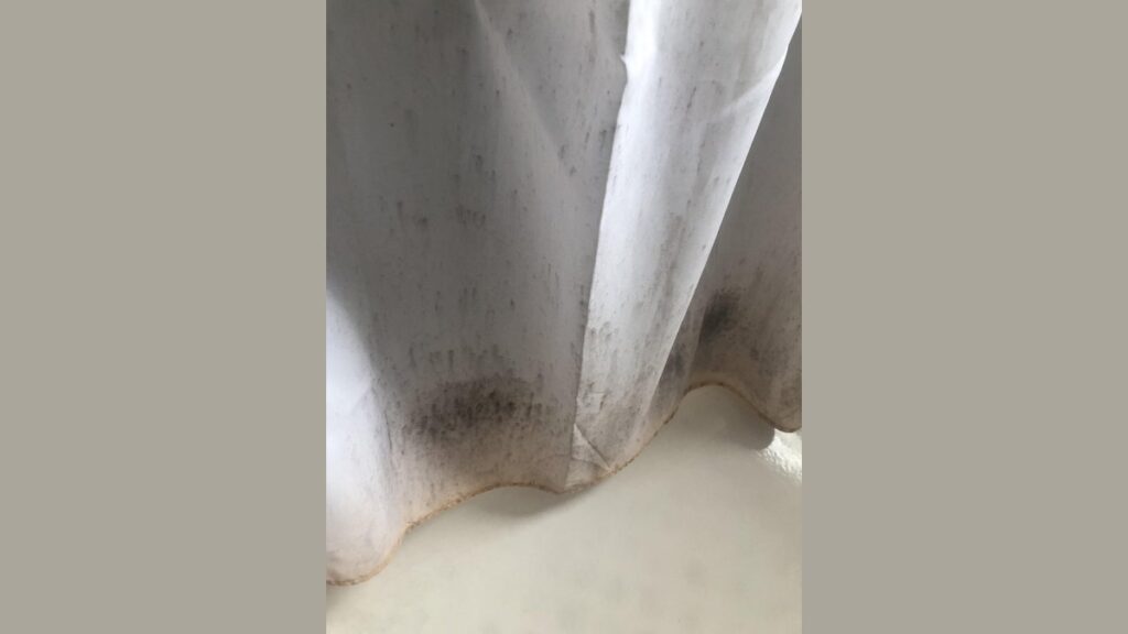 A clean shower curtain hangs in a bright, modern bathroom preventing mold growth.