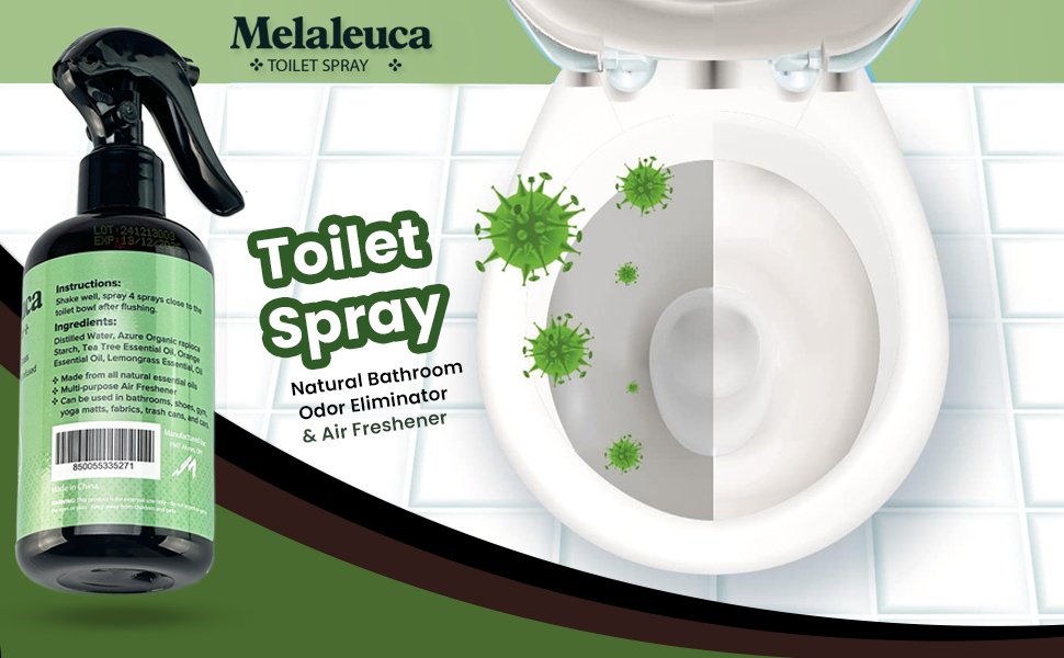 A peaceful modern bathroom setting featuring natural air fresheners for a clean atmosphere.