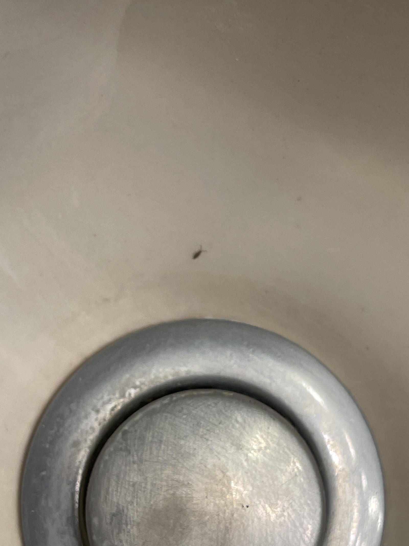 A magnifying glass on a bathroom counter for identifying household pests.