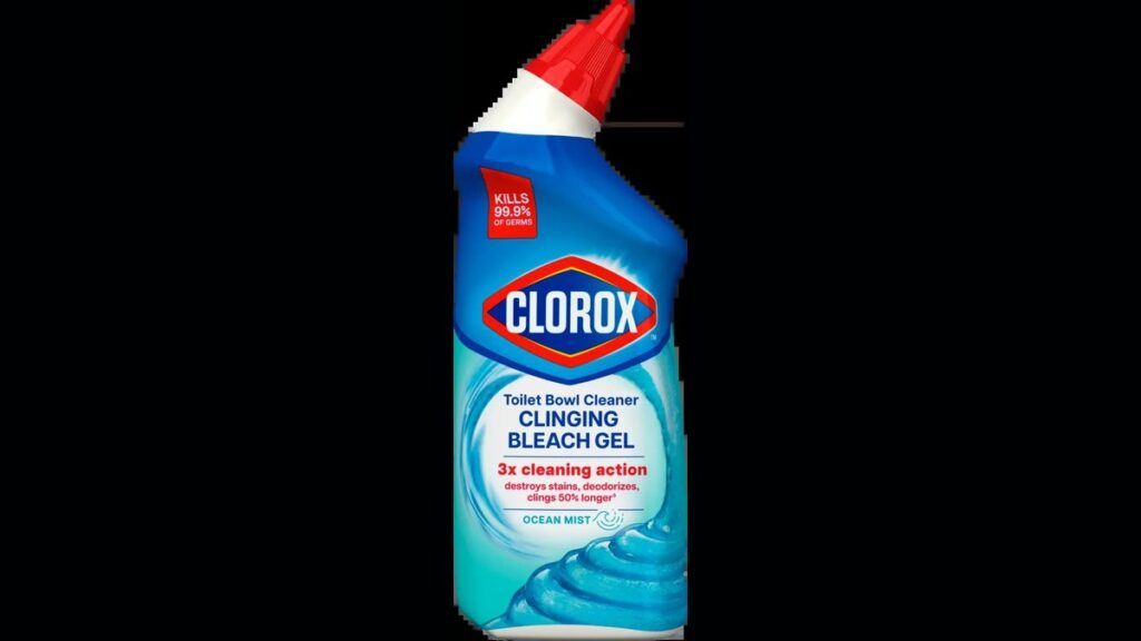 Essential cleaning supplies for a toilet bowl cleaner with bleach project.