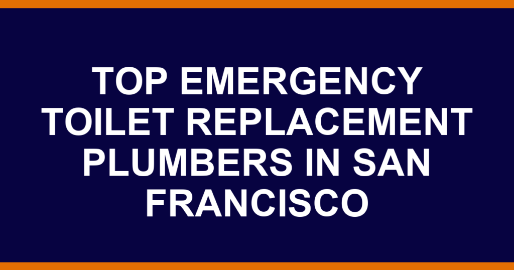 Top emergency toilet replacement plumbers in San Francisco