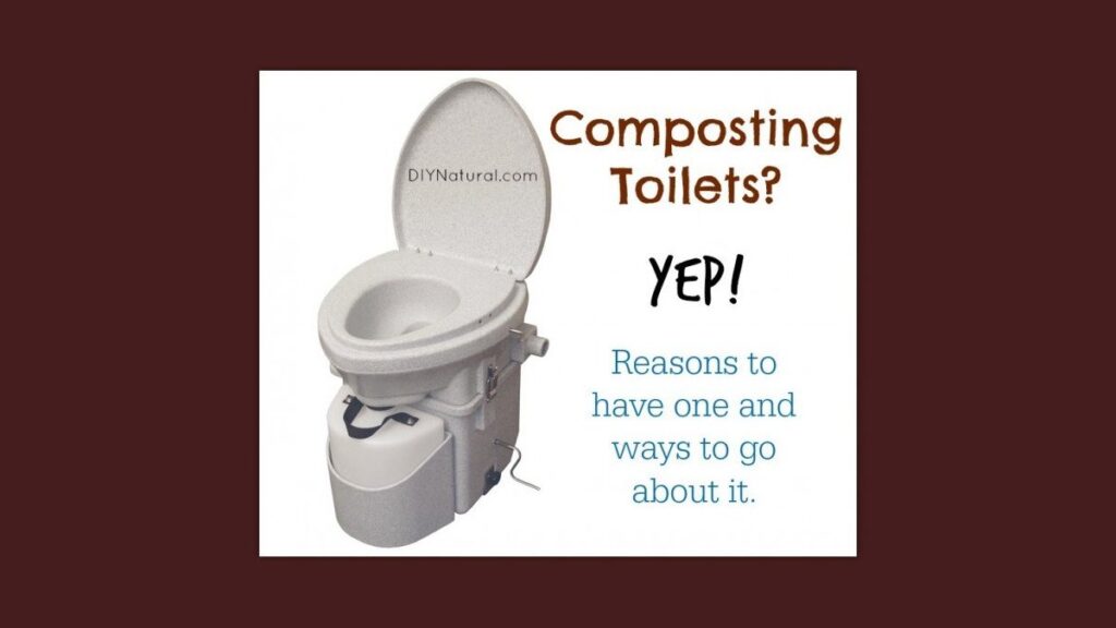 A modern composting toilet in a bright cabin bathroom shows sustainable bathroom design.