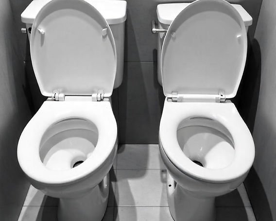 An elongated toilet featured in a clean and well-organized modern bathroom setting.