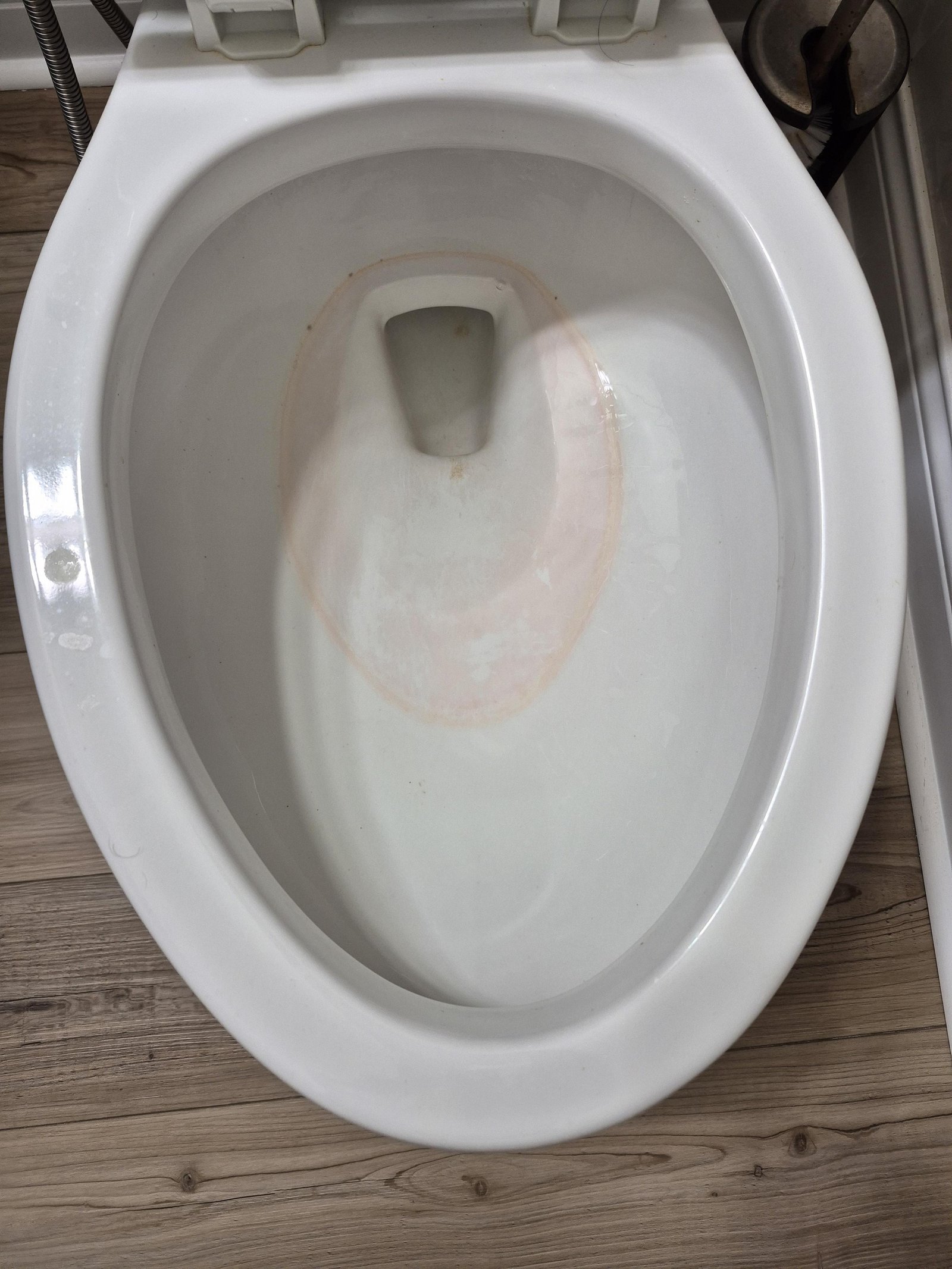 A faint pink ring of bacteria visible at the toilet bowl waterline.