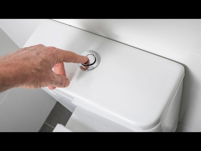 Internal plastic flush valve mechanism inside a toilet cistern showing the rods.