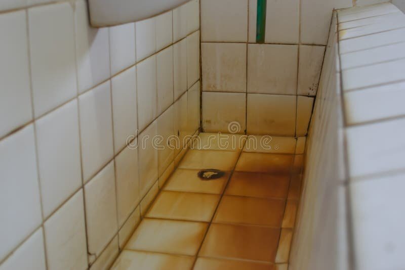 A sparkling clean white porcelain toilet bowl in a modern, well-maintained bathroom setting.