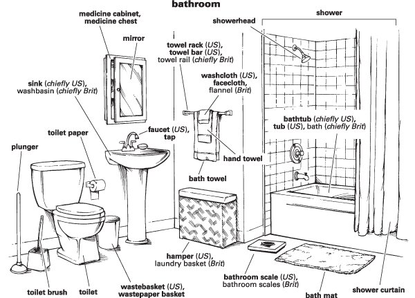 A modern public restroom interior representing the various meanings of the word toilet.