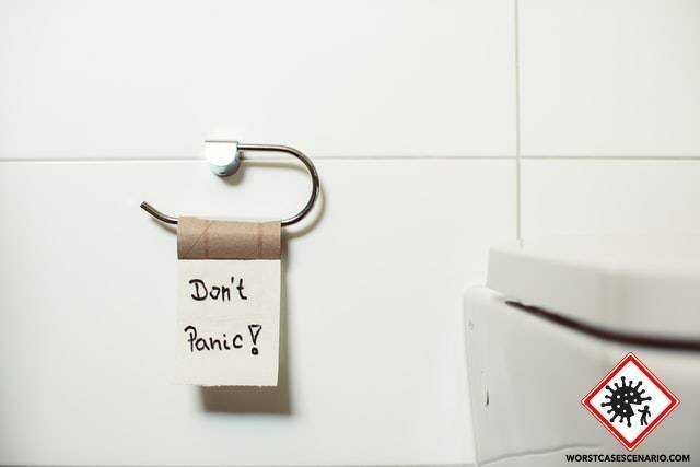 An empty toilet paper roll holder in a bright and minimalist modern bathroom.