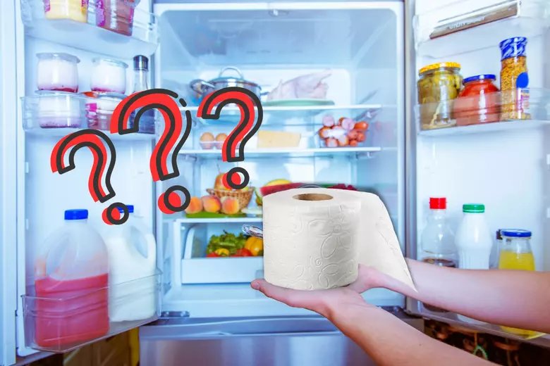 A roll of toilet paper placed inside a modern freezer to absorb moisture.