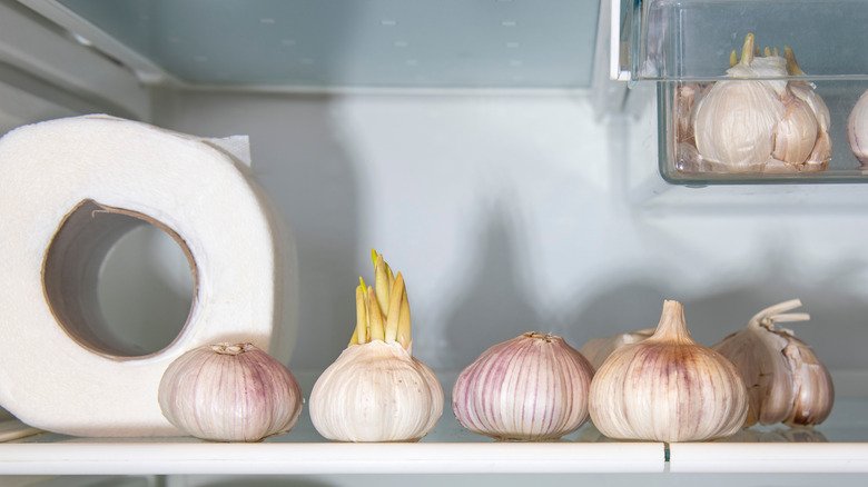 A small box of baking soda placed inside a refrigerator for odor control.